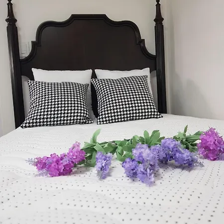 Joeuntwinville, 7Min Walk To Line 9 Subway Station, Quiet Residential Area